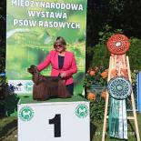 Wroclaw1.jpg