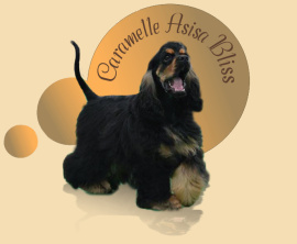 caramelle